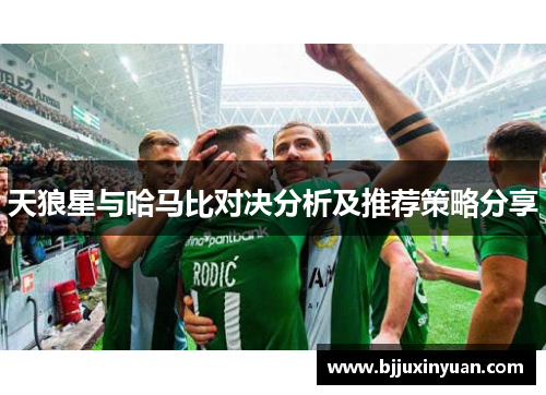 天狼星与哈马比对决分析及推荐策略分享